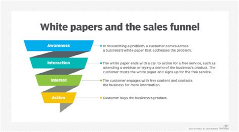 white paper testing process|purpose and audience white paper.